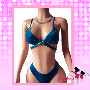Barbie’s Velvet Swimsuit